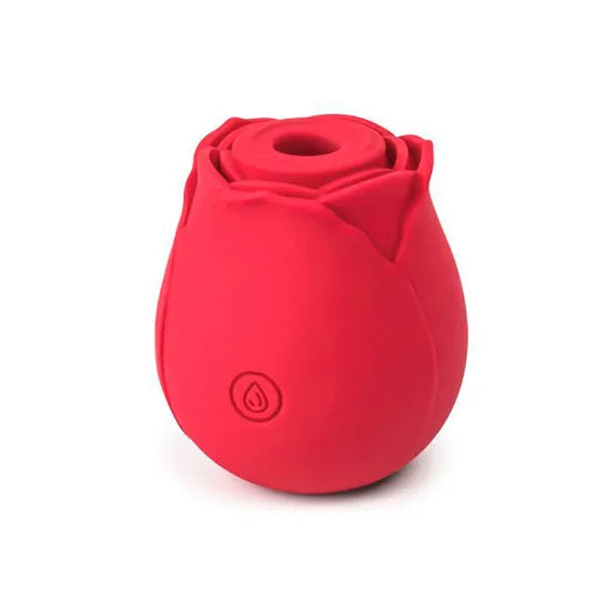 ROSA HAPPY MEETING EV-02G