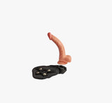 Arnés Erótico Ajustable      QSCD-002