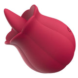 ROSA TOUCH OFHAPPINESS EV-02H