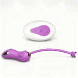Vibrating Egg 10 Function Hb2115