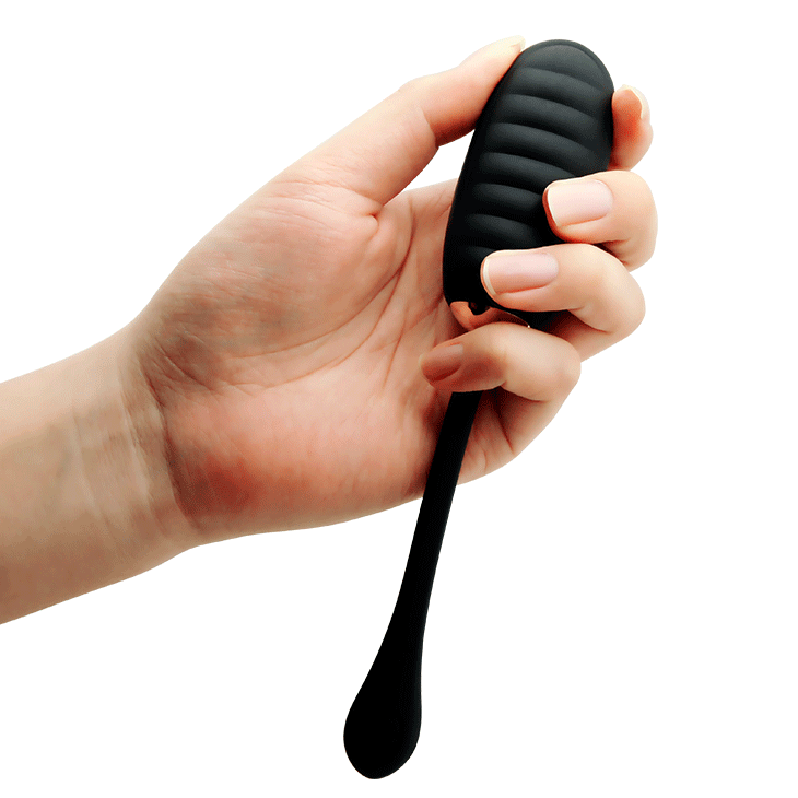 Huevo Inalámbrico 18k