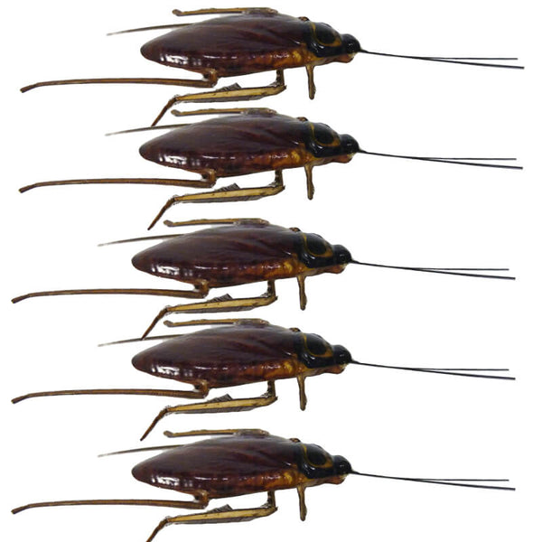 Broma Cucaracha Realista x 6-Broma-Sexo Sentido-SexoSentido
