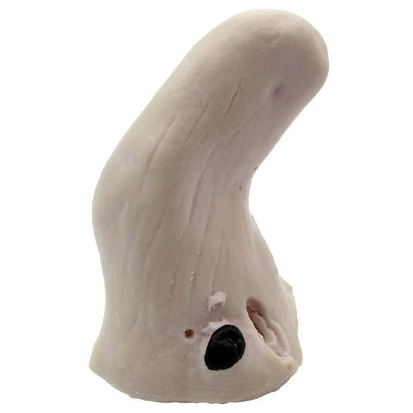 Disfraz nariz de bruja-Disfraces-Sexo Sentido-SexoSentido