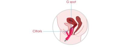 Vibrador Trysta Punto G Svakom-Juguetes-Sexo Sentido-SexoSentido